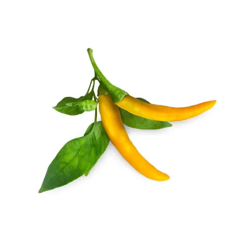 Click & Grow Smart Gardeni kollase tšillipipra Refill Plant Pods kahe tšillipipra ja roheliste lehtedega