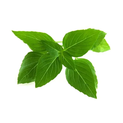 Click & Grow Thai Basil seed pod with fresh green basil leaves for indoor herb growing
