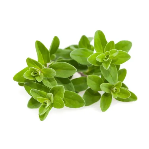 Click & Grow marjoram herb sprigs for Smart Garden refill, shown as fresh green leaves on a white background.