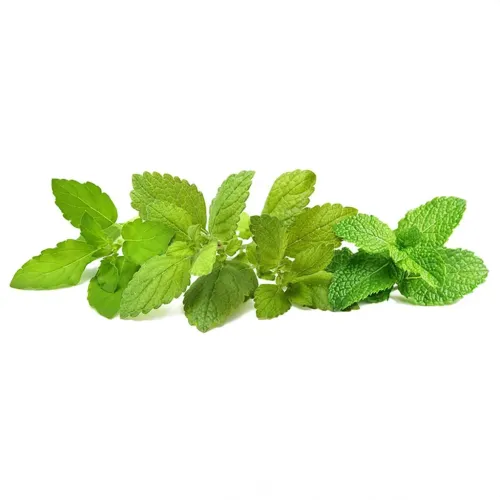 Click & Grow lugnande teblandning med örtblad på vit bakgrund, som visar färsk mynta, citronmeliss och kvistar av helig basilika.