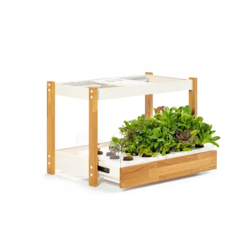 Click & Grow 25 indoor garden with white frame, wooden legs and leafy greens in the lower tray