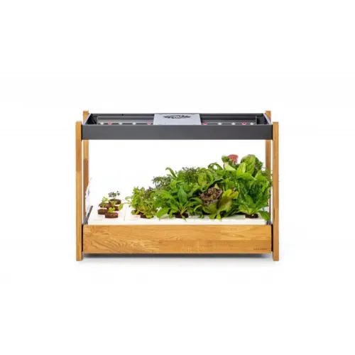 Click & Grow 25 inomhusträdgård med träram och svart ovandel, där bladgrönsaker odlas i vita tråg.