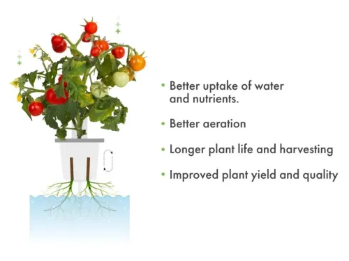 Click & Grow Pro Plant Cups infograafik, millel on kujutatud valges topsis taim, mille juured ulatuvad vette