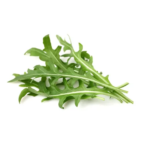 Leaf Mustard Nachfüllpackung – grüne, schmalblättrige Blattsenfblätter mit tief gelappten Rändern, ein kleines Bündel mit Stiel vor weißem Hintergrund.