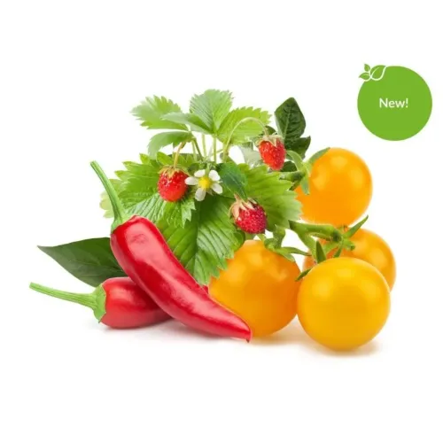 Click & Grow Smart Garden-påfyllningsmix med jordgubbar, chilipeppar och gula tomater på en vit bakgrund