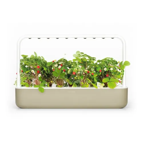 Jardinière de comptoir Click & Grow Smart Garden 9 avec plantes feuillues, fleurs blanches et baies rouges