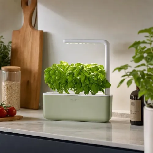 Click & Grow Smart Garden 3 kambarinis žolelių vazonas su integruotu LED augimo šviestuvu ir bazilikų augalais