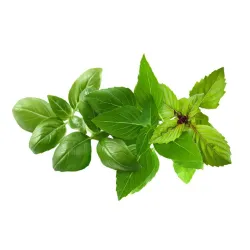 Assorterede basilikumbælge til Click and Grow Smart Garden med sorterne Classic, Cinnamon og Thai Basil.