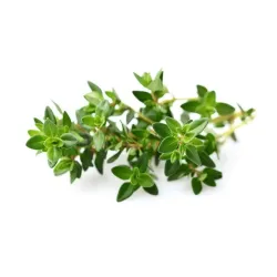 Click and Grow Smart Garden Refill 3-pack - Thyme for easy indoor herb gardening, perfect for fresh culinary dishes and long-term use