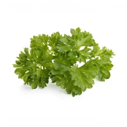 Click and Grow Smart Garden Refill 3-pakning Kruspersille for enkel innendørs dyrking med friske, næringsrike urter som er perfekte til å forbedre måltider
