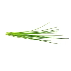 Click and Grow Smart Garden Chives Refill 3-pack för färska örter i soppor, sallader och mycket mer, kompatibel med Smart Garden Starter Kit
